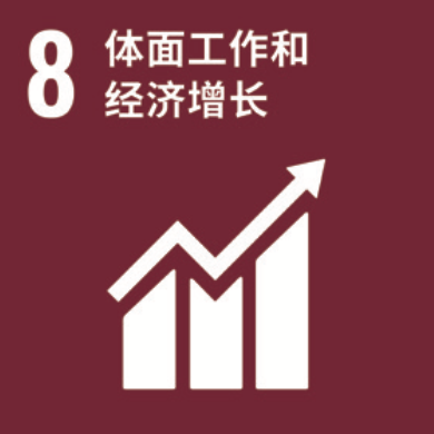 SDG 8 面子工作和经济增长